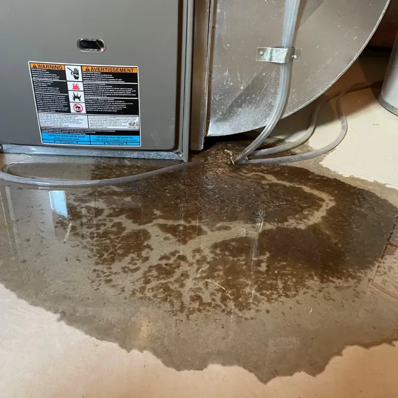 Appliance Leak Cleanup in Kenai, AK