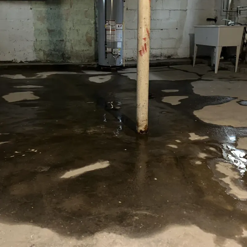 Emergency Water Extraction And Removal in Kenai, AK